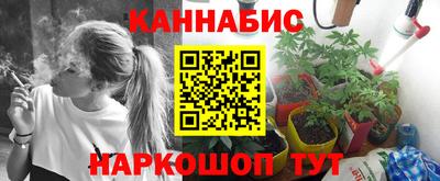 jwh Будённовск