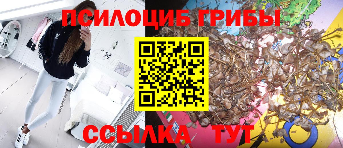 Галлюциногенные грибы ЛСД Ростов Великий