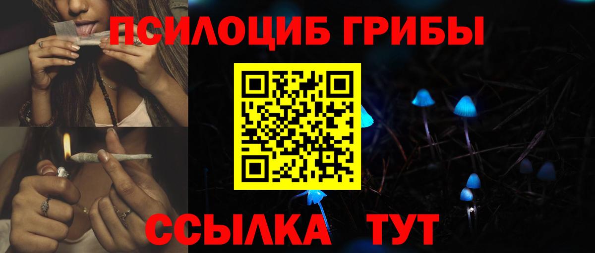 Псилоцибиновые грибы MAGIC MUSHROOMS  где продают   Ростов Великий  Вход с VPN  Галлюциногенные грибы MAGIC MUSHROOMS 